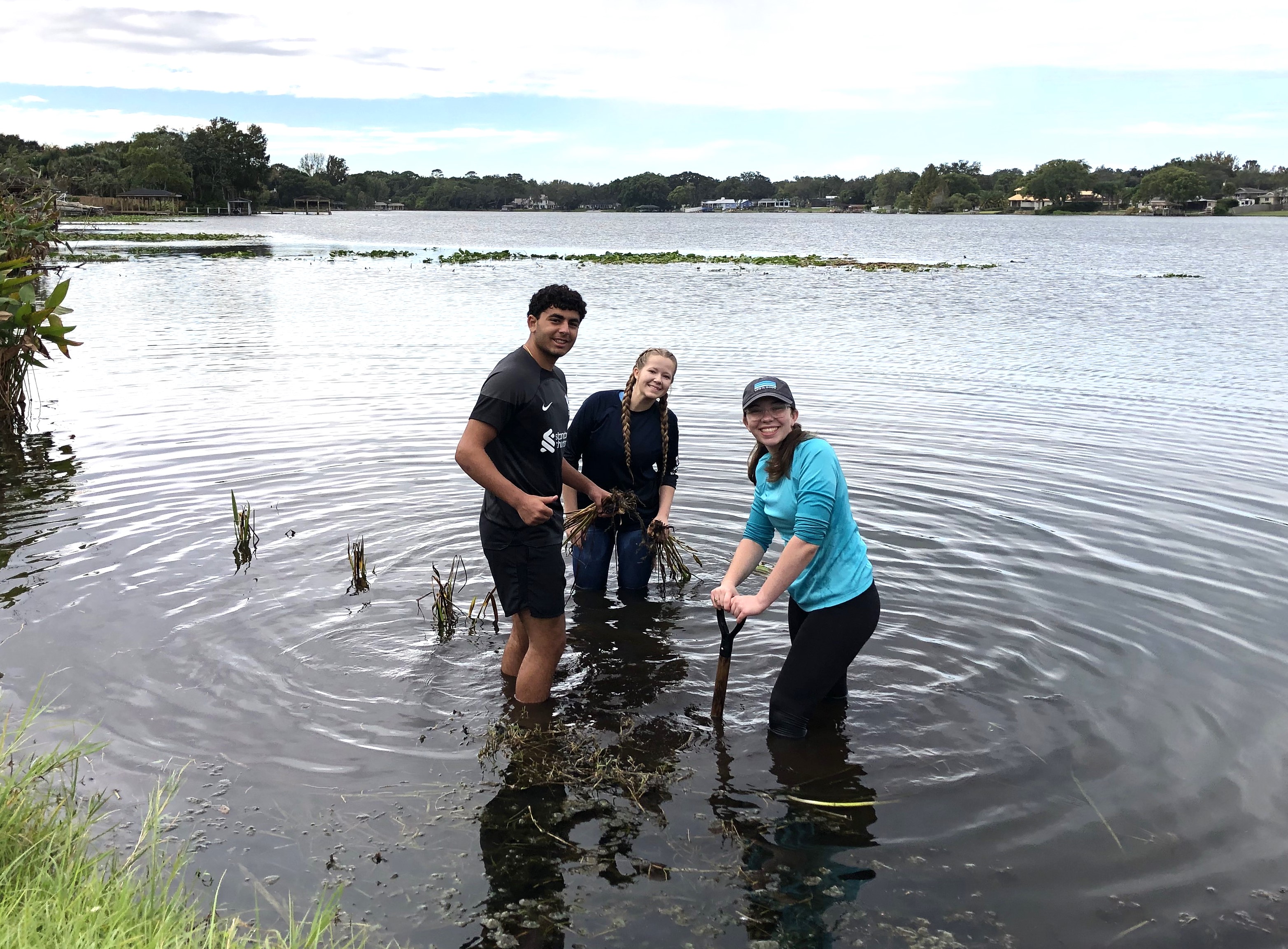 Lake of the Woods Restoration