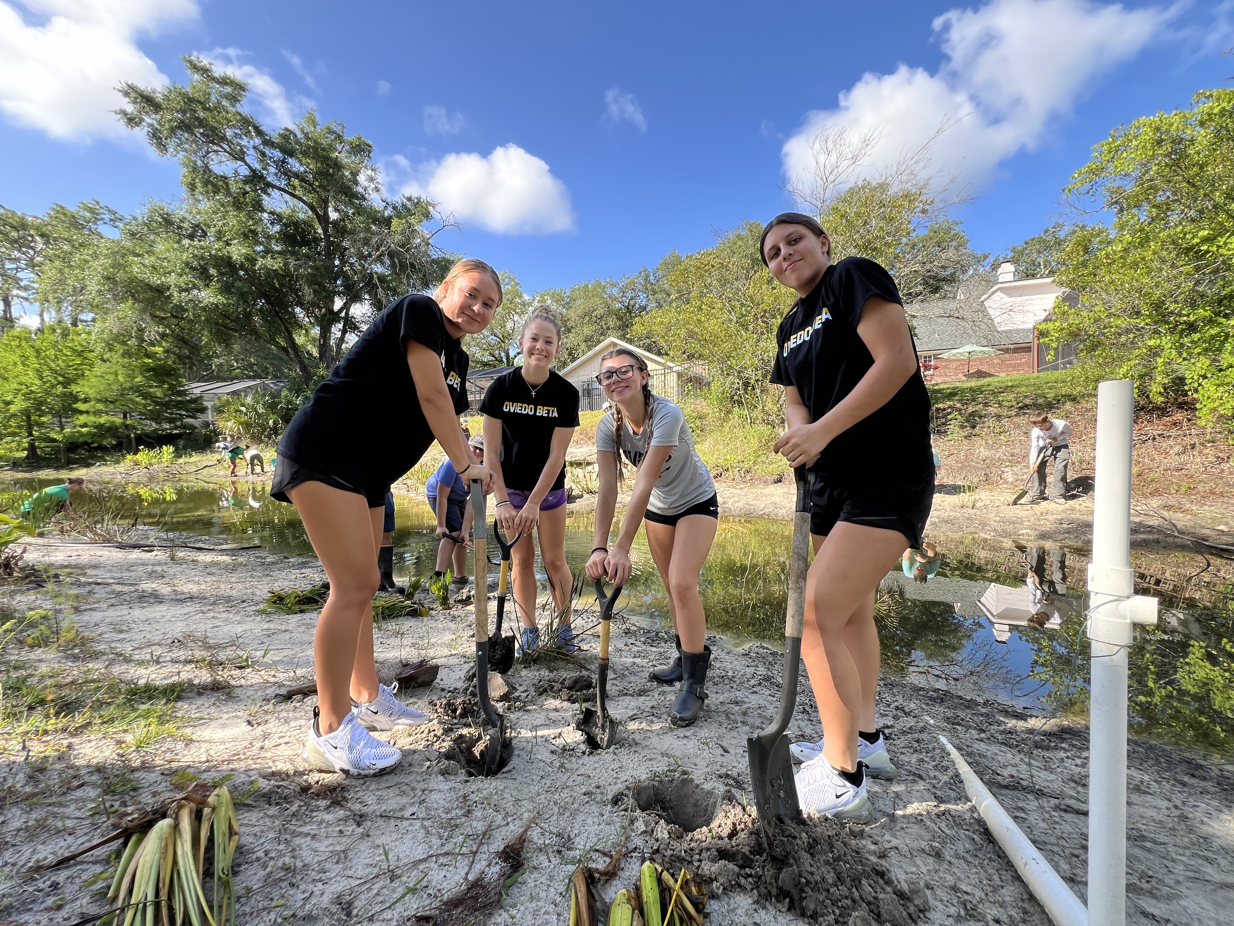 Springwood Lake Restoration