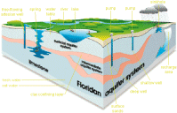 Why Is It Important To Conserve Water? | Seminole County