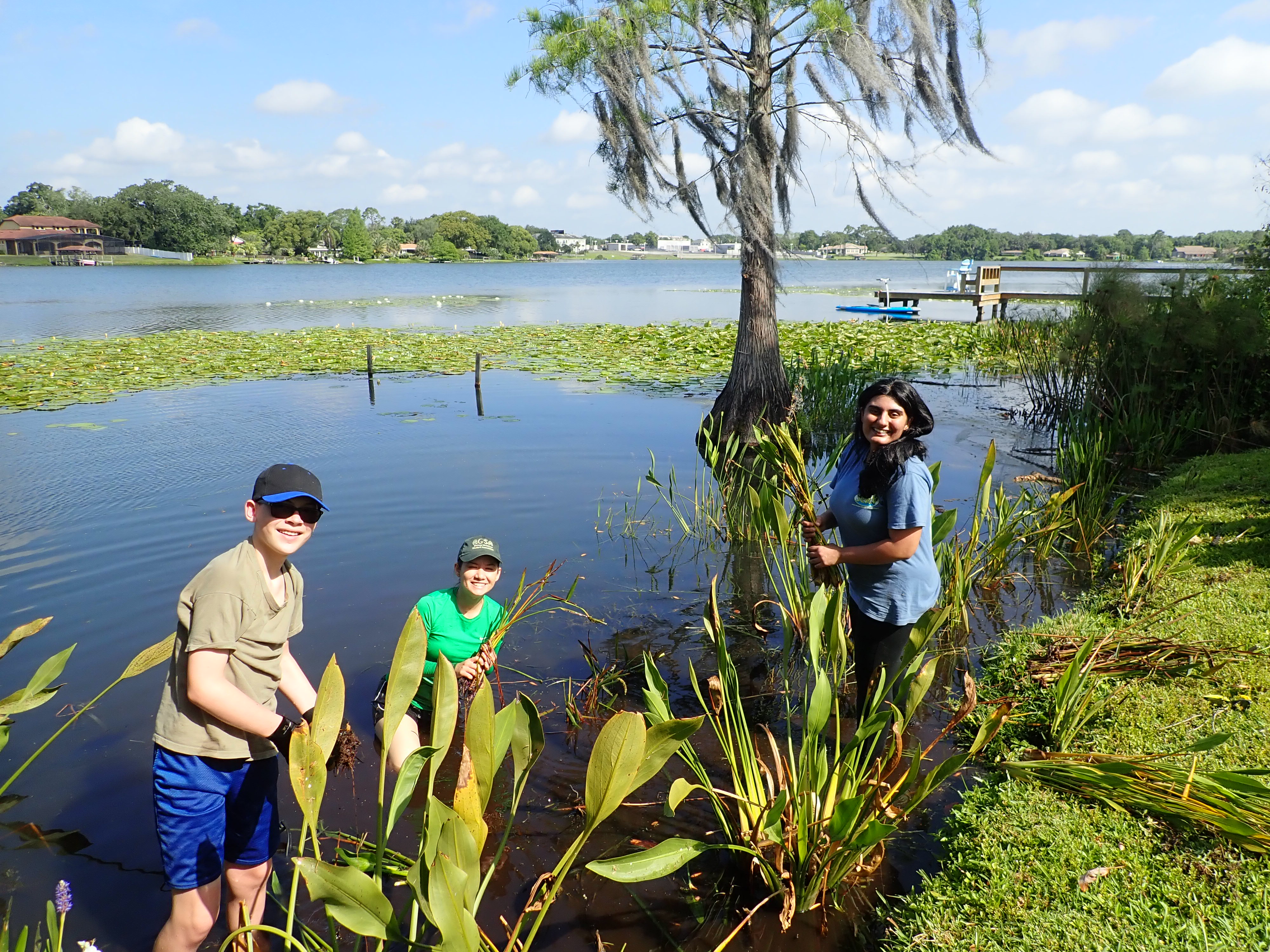 Volunteers planting native shoreline plants