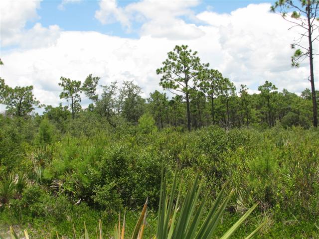 Chuluota Wilderness Area